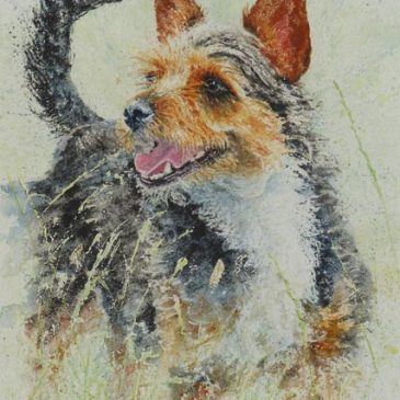 Sparky Terrier – dog painting