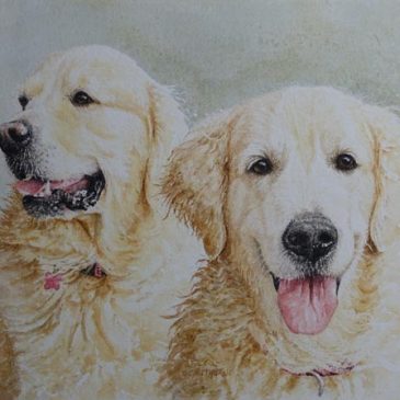 Golden Retriever dog portrait painting commission